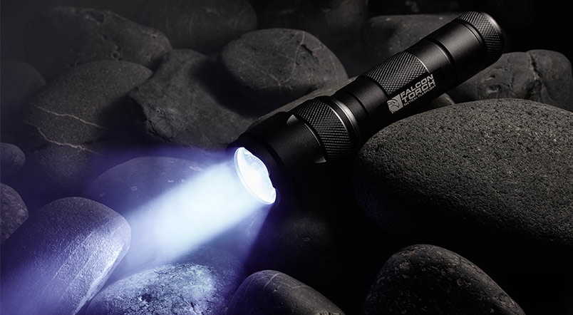 falcontorch